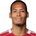 V. van Dijk