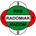 Radomiak Radom