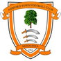 Ashford Town (Middlesex)