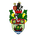 Runcorn Linnets