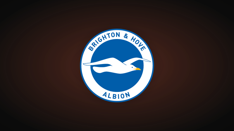 Brighton ficha a Michael Svoboda mientras la reconstrucción defensiva gana velocidad