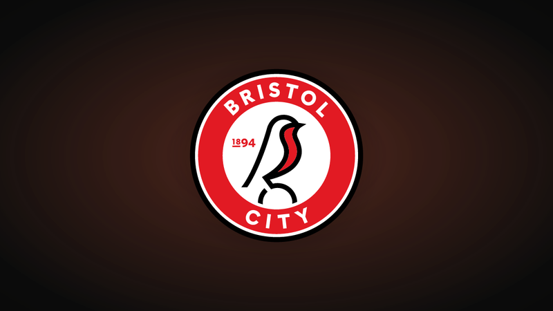 El Bristol City nombra a James Ellis con una reconstrucción mayor ya en marcha