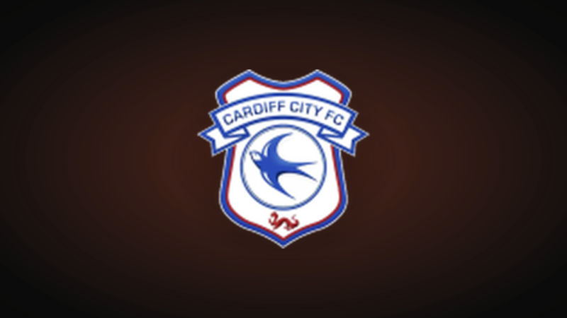 Vincent Tan recorta la deuda del Cardiff en 42m