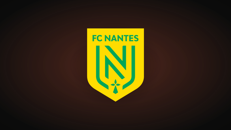 Nantes-Toulouse, suspendido tras la invasión del césped y el lanzamiento de bengalas