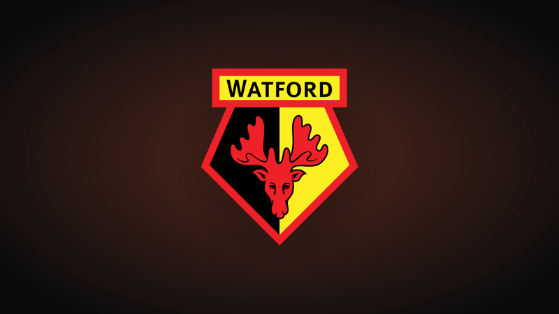 Giorgi Chakvetadze leaves Watford for Udinese